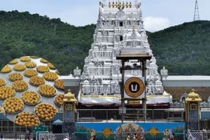 tirupati temple laddus row how dairy supplied rs 250-crore adulterated ghee without procuring milk or butter for 5 years
