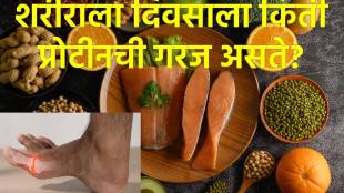 Protein intake daily