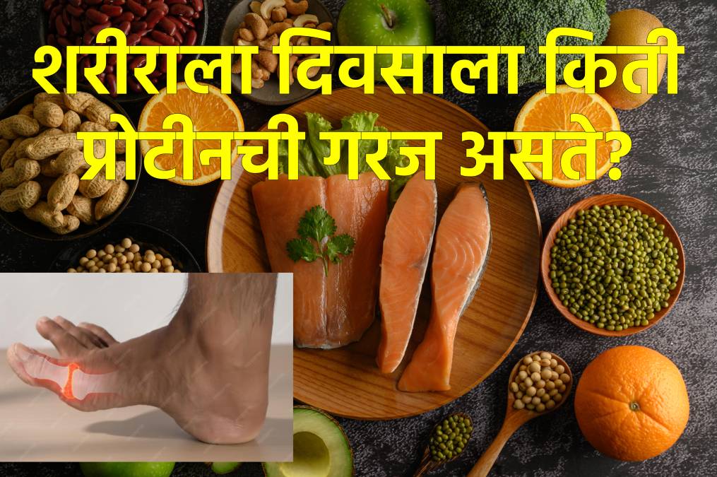 Protein intake daily