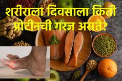 दिवसाला किती प्रथिनांची आवश्यकता असते? कोणती प्रथिने युरिक अ‍ॅसिड वाढण्यास कारणीभूत ठरतात? वाचा तज्ज्ञ काय सांगतात…
