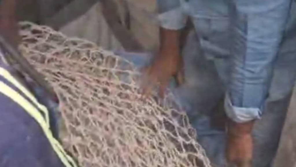 rescue leopard operations rescue leopard operations