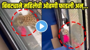 Leopard attack woman seating in safari bus in karnataka women injured in leopard attack bibtya video viral on social media