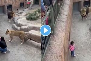 A mother’s bravery or AI illusion? Watch this viral moment