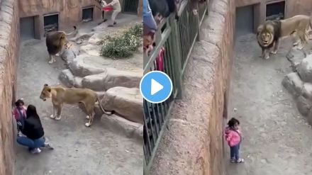 A mother’s bravery or AI illusion? Watch this viral moment A mother’s bravery or AI illusion? Watch this viral moment