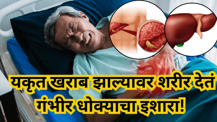 liver Damages liver Damages