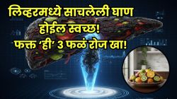 लिव्हरमधील सडलेली घाण झटक्यात निघेल बाहेर; फक्त ‘ही’ ३ फळं रोज खा! फॅटी लिव्हरची समस्या राहील दूर, राहाल एकदम फिट आणि तंदुरुस्त!