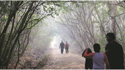 महाबळेश्वरचाही पारा घसरला! 