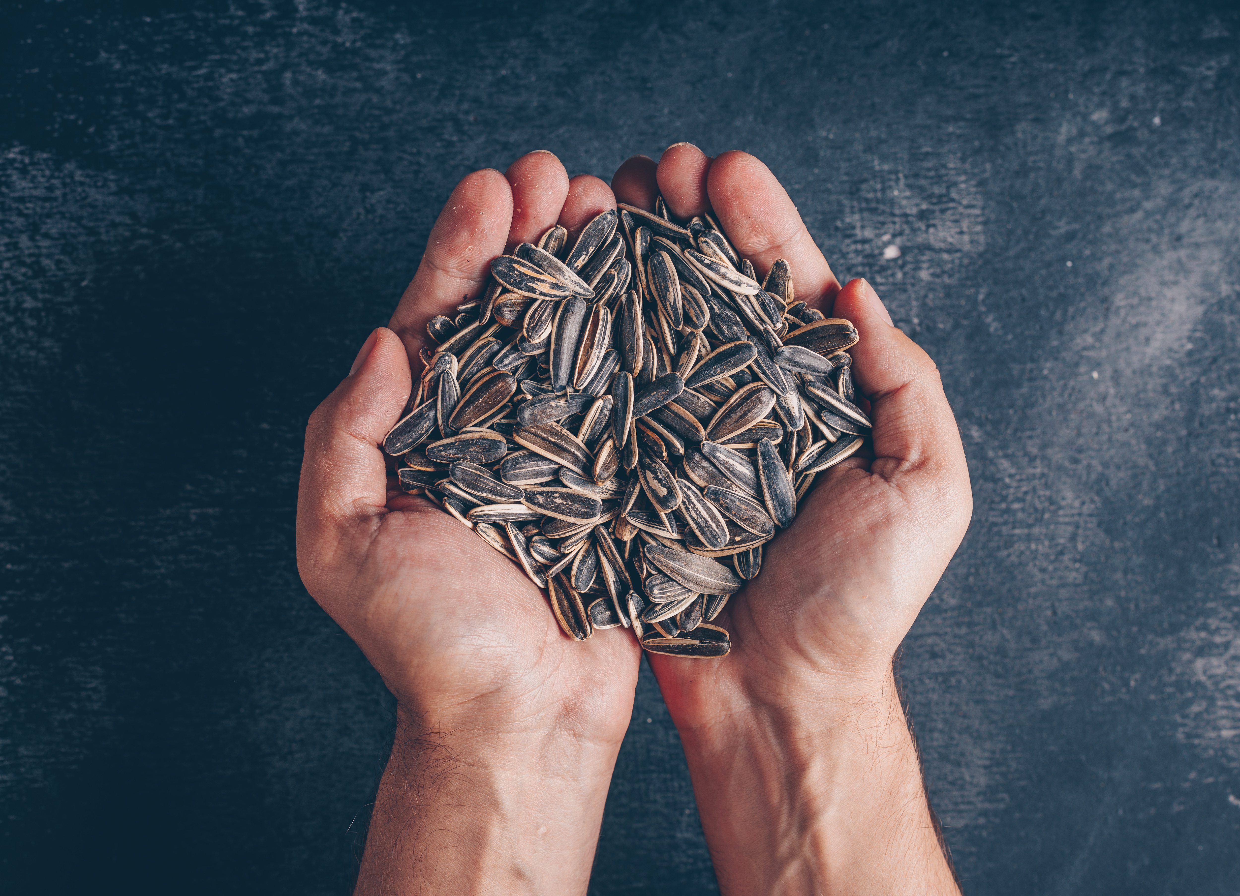 sunflower seeds for gut health and stress relief