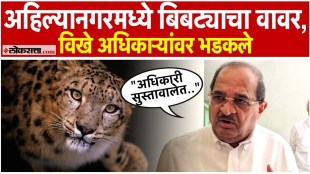 Radhakrishna Vikhepatil criticized the authorities for harassing citizens by a leopard in Ahilyanagar