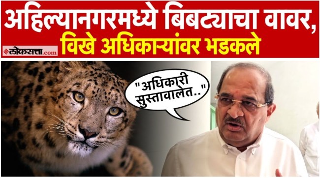 Radhakrishna Vikhepatil criticized the authorities for harassing citizens by a leopard in Ahilyanagar