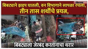 Kolhapur Leopard Attack thrill of capture captured on camera