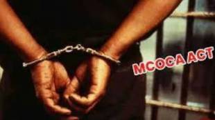 Mokka arrests 10 people including gang leader Chandrapur news