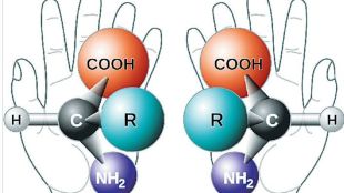 mirror bacteria concept and chirality explained