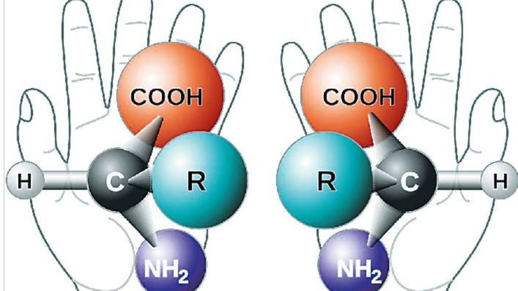 mirror bacteria concept and chirality explained mirror bacteria concept and chirality explained