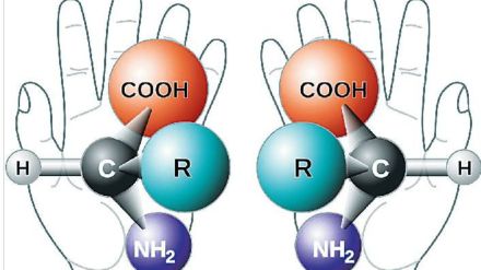 mirror bacteria concept and chirality explained
