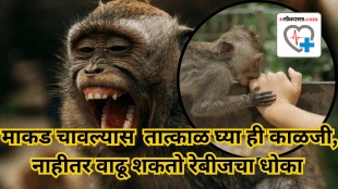 monkey bite treatment