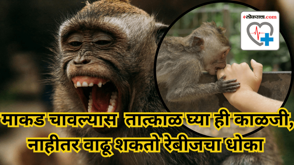 monkey bite treatment