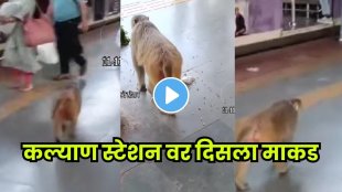 Monkey freely roaming on Kalyan Station a surprising sight for commuters!