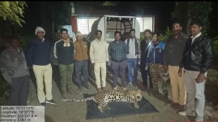 nagar kopargaon man eater leopard shot dead by forest department permission