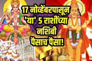 17 november horoscope surya guru navpancham yuti lucky for aries, taurus, leo, Sagittarius, pisces zodiac signs get wealth and money