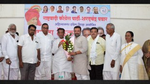 ncp ahilyanagar local elections strategy dada kalmakar mahavikas aghadi
