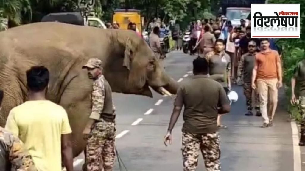 forest department struggling to control omkar elephant human wildlife conflict forest department struggling to control omkar elephant human wildlife conflict