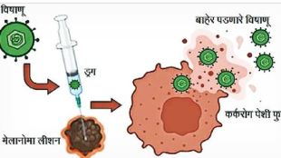 oncolytic virus therapy cancer cells destruction immunity activation modern treatment