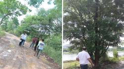 पनवेल महापालिकेची २२४ झाडांवर कुऱ्हाड? नागरी घनकचरा व्यवस्थापन विस्तारात अडसर