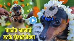श्वानाचं डोहाळजेवणं! फ्रॉक, कपाळावर मांगटिका, गजरा अन्…, VIDEO पाहून व्हाल चकीत