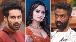 “प्रणित अभिषेकला वाचवू शकला असता…”, ‘बिग बॉस १९’मधून बाहेर पडताच नीलमचं वक्तव्य; म्हणाली, “आम्हाला स्क्रिप्ट…”