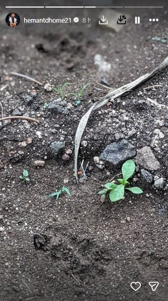 हेमंत ढोमे इन्स्टाग्राम स्टोरी