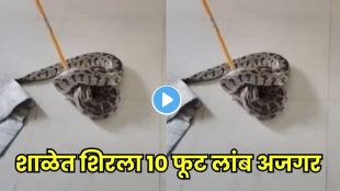 giant snake rescue video