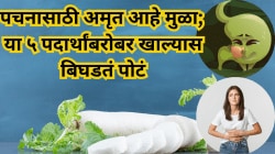 पचनासाठी अमृत आहे मुळा, पण या ५ गोष्टींबरोबर खाल्ला तर ठरू शकतो ‘घातक’; पोट बिघडतं अन् वाढतो गॅस