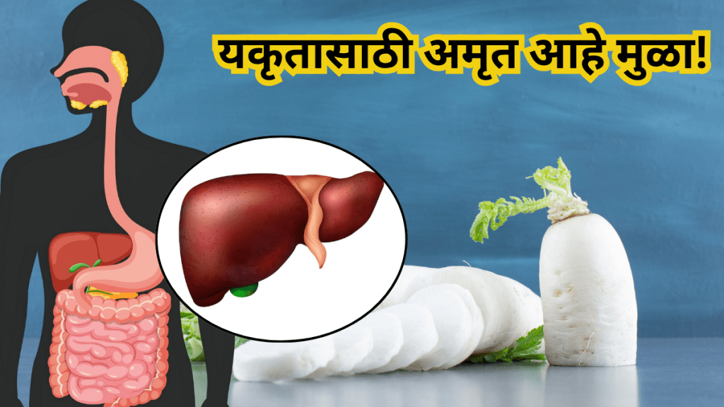 Radish benefits Radish benefits