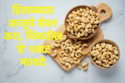 हिवाळ्यात काजू खाण्याचे ‘हे’ फायदे माहीत आहेत का? पण अति सेवनाने होऊ शकते नुकसान