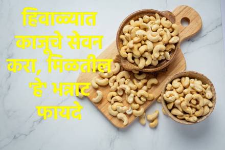 हिवाळ्यात काजू खाण्याचे फायदे हिवाळ्यात काजू खाण्याचे फायदे
