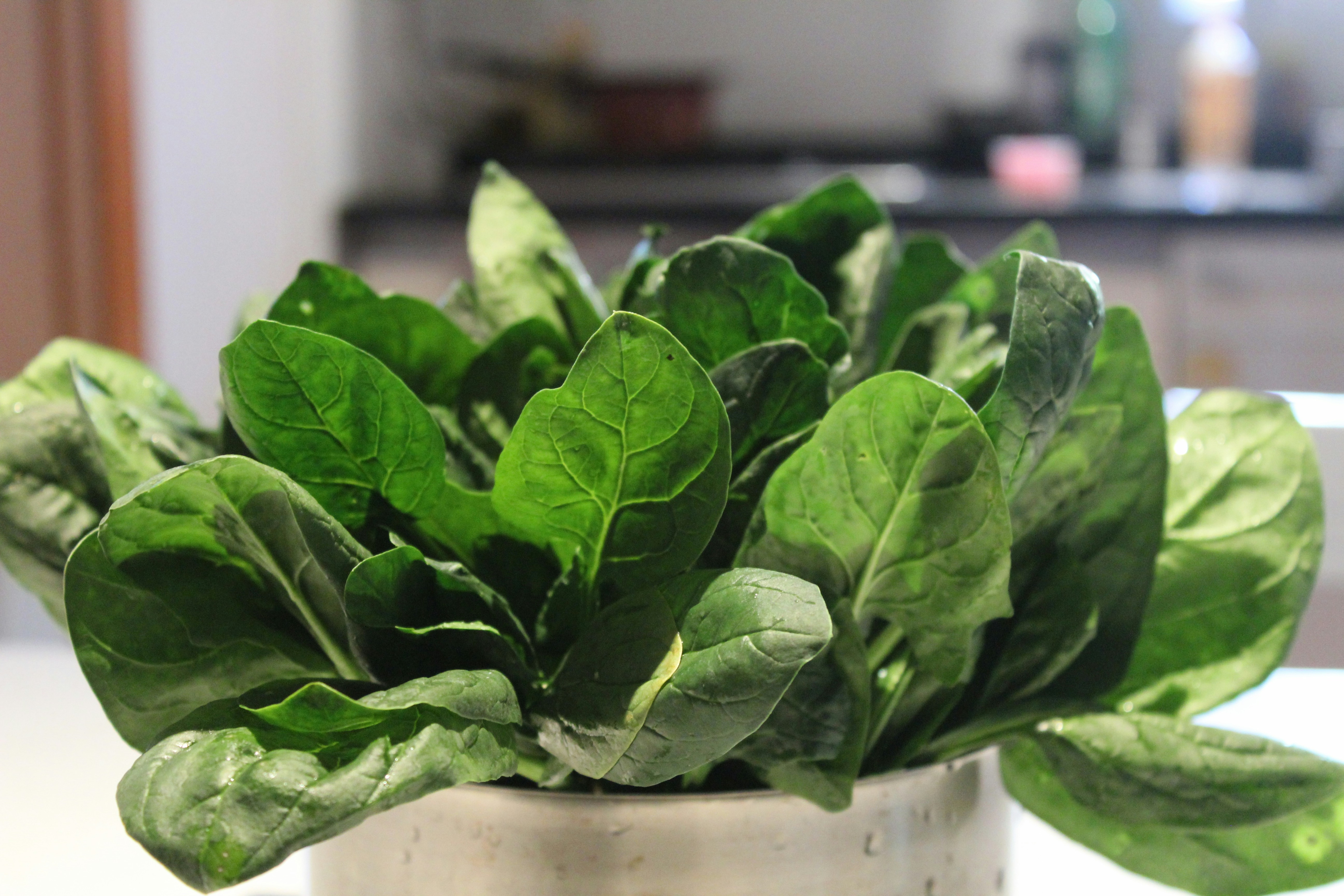 Fresh green spinach leaves that improve gut health naturally