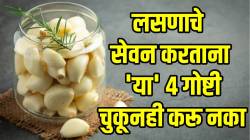 आवडतो म्हणून जास्त लसणाच्या सेवनाने वाढू शकतात त्रास; ‘या’ ४ गोष्टी चुकूनही करू नका; डॉक्टरांनी दिला सल्ला