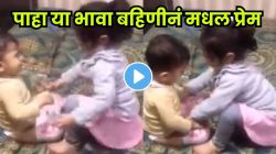 भावा-बहिणीचं नातं असंच असतं! आधी भांडण मग थेट मारामारीच सुरू झाली ; VIDEO पाहून कपाळावर माराल हात