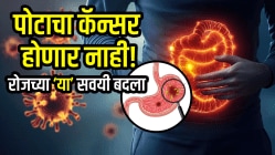 पोटाचा कॅन्सर होणार नाही! रोजच्या ‘या’ साध्या सवयींमध्ये करा बदल; दुर्लक्ष न करता जाणून घ्या, वाचा डॉक्टरांचा सल्ला…