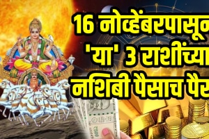 Surya gochar on 16 november beneficial to leo, capricorn, scorpio zodiac signs get wealth, money, success