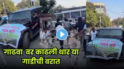 थेट गाढवावरून काढली वरात! बिघडलेली थार दिली म्हणून तरुणाचा अनोखा निषेध; VIDEO पाहून पोट धरून हसाल