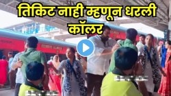 बापरे, हे योग्य आहे का? तिकीट काढलं नाही म्हणून टीटीने प्रवाशाची पकडली कॉलर अन्…. पाहा VIDEO