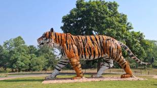 Madhya Pradesh national parks