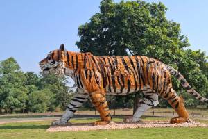 Madhya Pradesh national parks