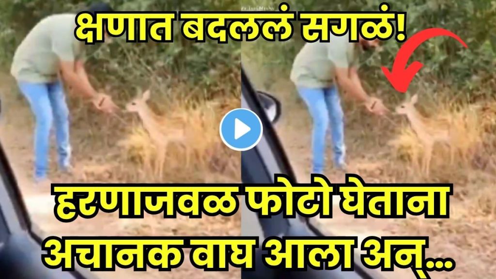 Tiger Attack Caught on Camera