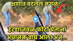 काय गरज होती का? ‘तो’ फोटो काढण्यासाठी हरणाजवळ गेला अन्…तेवढ्यात झाडीतून वाघ आला, पुढचं दृश्य पाहून सगळे थरारले; VIDEO व्हायरल!