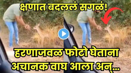 Tiger Attack Caught on Camera