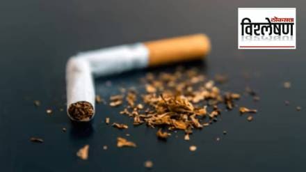 loksatta explained Why isn t the death rate from tobacco addiction decreasing