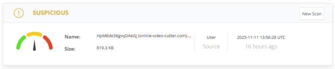 fact check viral video